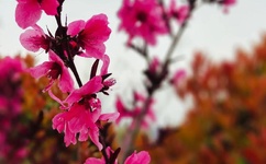 被抱起来撞到哭的缓解方法